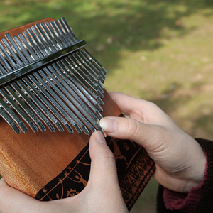 TODO 21 KEYS MAHOGANY WOOD DEMOCRATIC DANCE STYLE KALIMBA